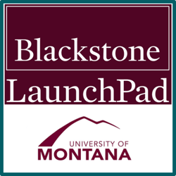 BlackstoneUofM Maroon