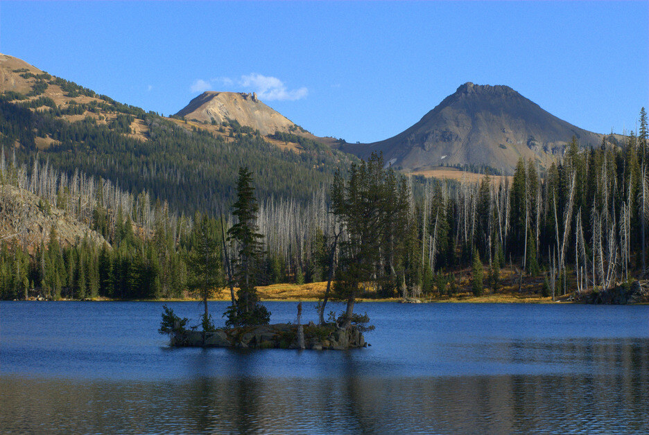 WBC_Landing Page_Carbon-2 WBC_Landing Page_Carbon-2