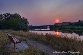 WBC_Landing Page_Rosebud WBC_Landing Page_Rosebud