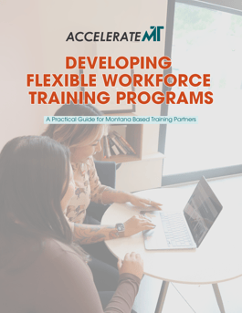 Developing  Flexible Workforce  Training Programs 