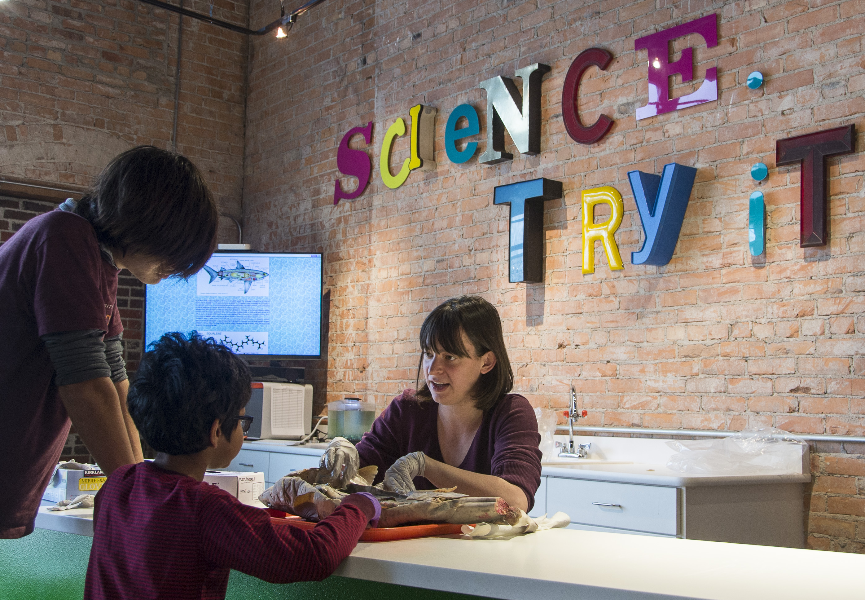 15022920909_6756c1e2f4_o