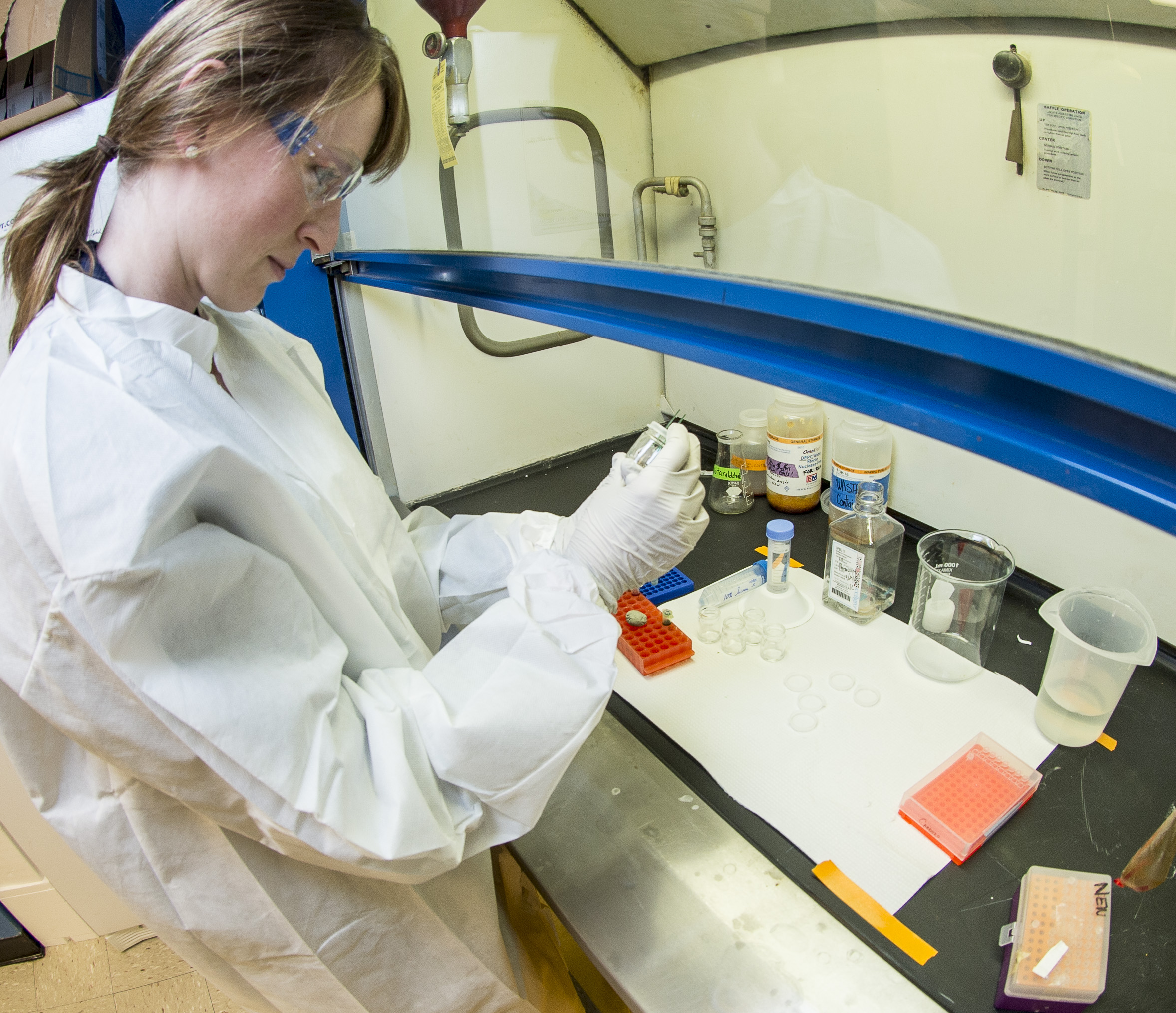 15209707885_eea4f01d39_o