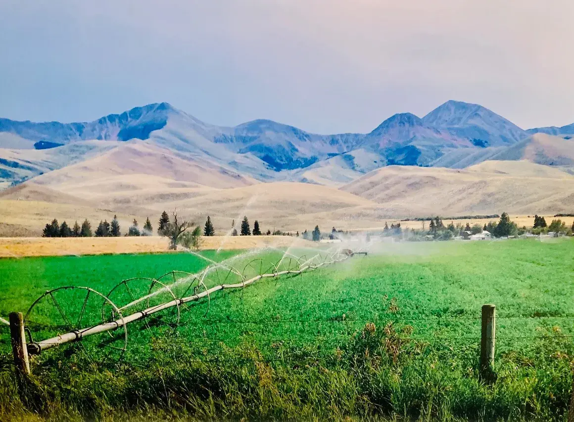 WBC_Landing Page_Beaverhead_Lima WBC_Landing Page_Beaverhead_Lima